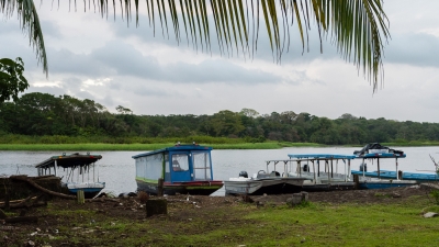 Voyage au Costa Rica, en février 2018, avec Luc. Tortuguero - Arenal - Rio Celeste - Monteverde - Manuel Antonio - Uvita - Corcovado